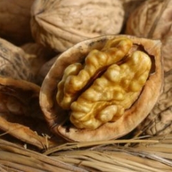 Грецкие орехи для похудения