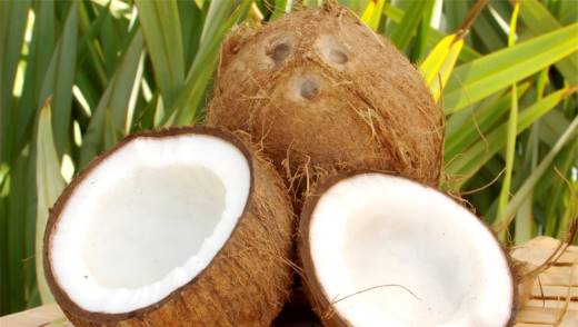 Вред кокоса