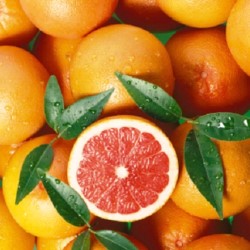 Классическая грейпфрутовая диета