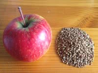 Гречнево-яблочная диета