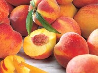 Персик – польза и вред