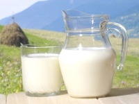 Полезные свойства козьего молока, его вред