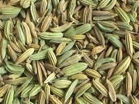 Полезные свойства семян фенхеля