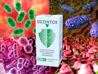 Антипаразитарное средство Dezintox – полное очищение организма от опасных гельминтов